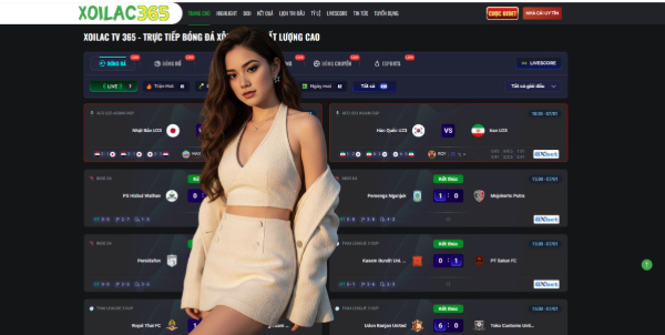 The Emergence of Premium Digital Streaming Hubs